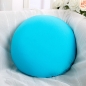 레비앙 원형 쿠션(블루)