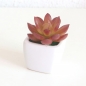 프리티플 미니 선인장 모형 화분 XT-01