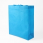 비비드 부직포 가방(스카이) (34x40.5cm)