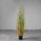 강아지풀 조화(브라운그린 아이보리)(150cm)