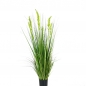 보리갈대 조화 그린 (120cm)