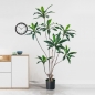행운목 조화(180cm)