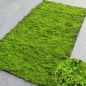 플랜테리어 리얼 인조 이끼 A-6(100cm*200cm)